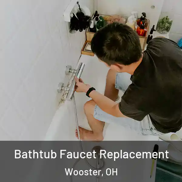  Bathtub Faucet Replacement Wooster, OH