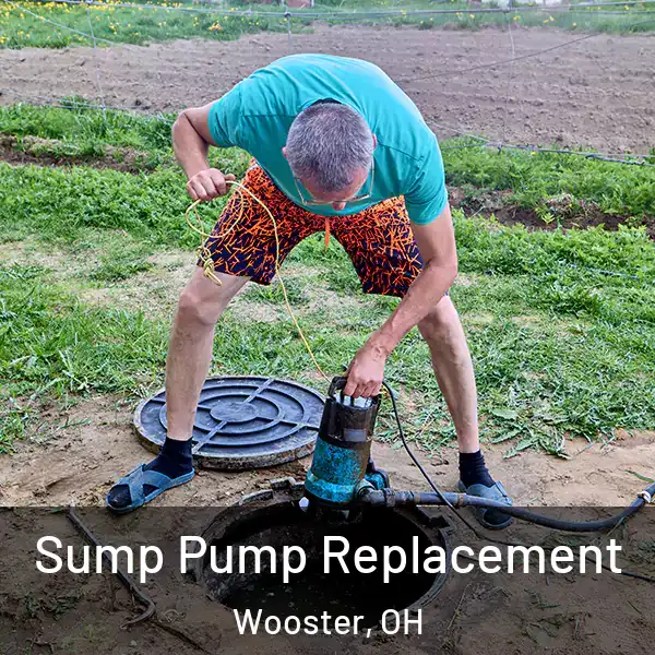  Sump Pump Replacement Wooster, OH