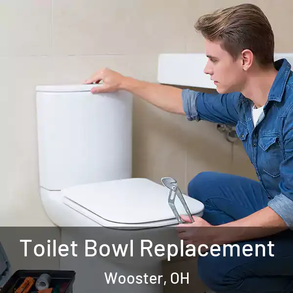  Toilet Bowl Replacement Wooster, OH