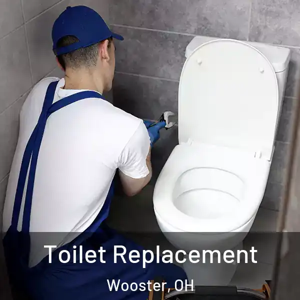  Toilet Replacement Wooster, OH