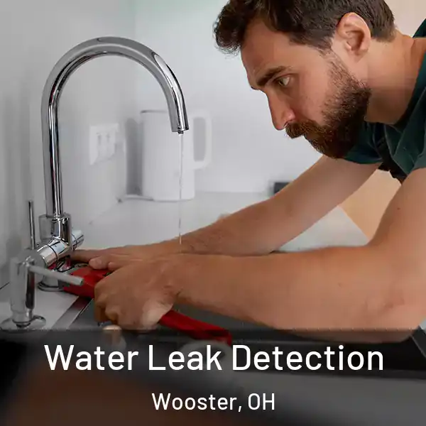 Water Leak Detection Wooster, OH