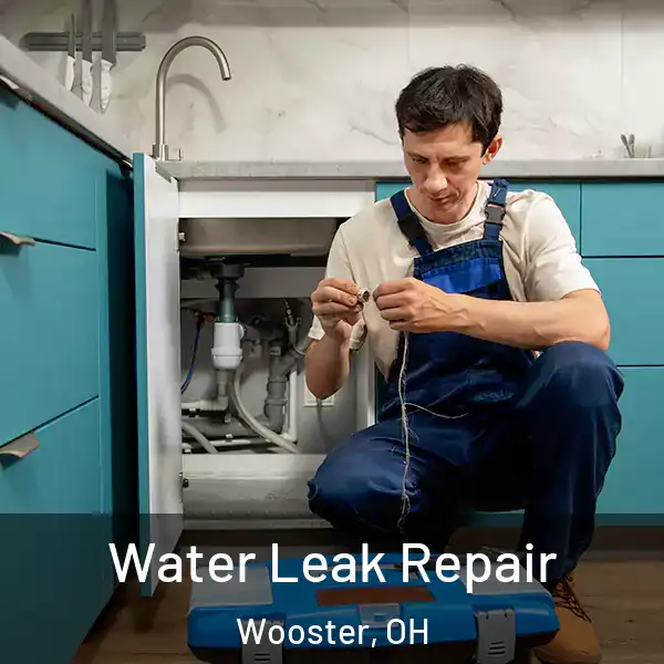  Water Leak Repair Wooster, OH
